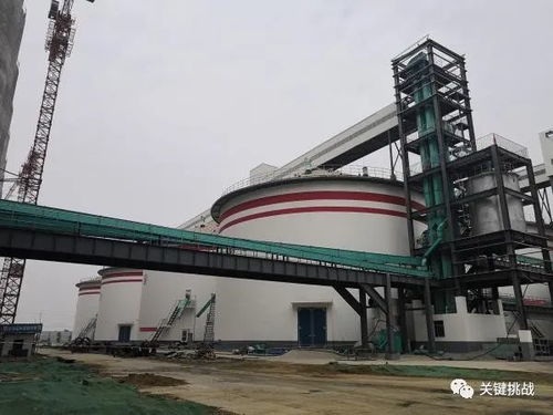 以南陽(yáng)大宗農(nóng)產(chǎn)品加工業(yè)高質(zhì)量發(fā)展助推鄉(xiāng)村振興