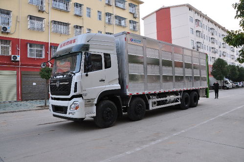 濮陽(yáng)東風(fēng)天龍前四后八鋁合金畜禽運(yùn)豬車(chē) 高效、安全、專(zhuān)業(yè)的豬仔運(yùn)輸解決方案