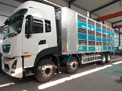 東風(fēng)天龍全鋁合金運(yùn)豬車(chē) 高效、安全、人性化的現(xiàn)代豬仔運(yùn)輸解決方案