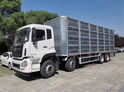 咸寧豬仔運(yùn)輸車(chē)的選擇與使用指南